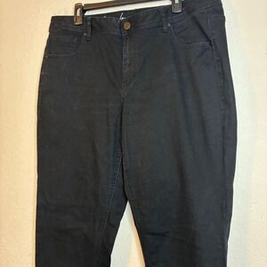 Lane Bryant Genius Fit Skinny Jeans Womens 18 Regular Black Stretch Denim Pant